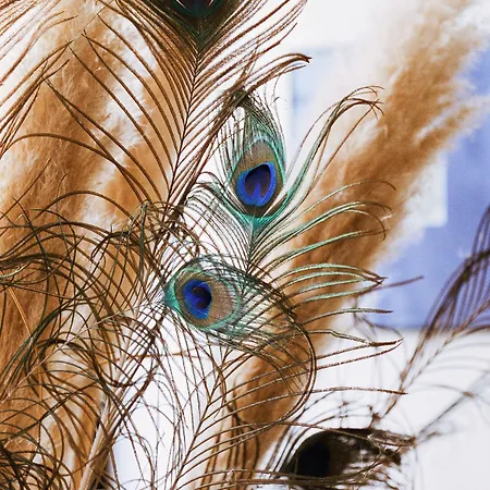 하비튜엘 호텔 4*